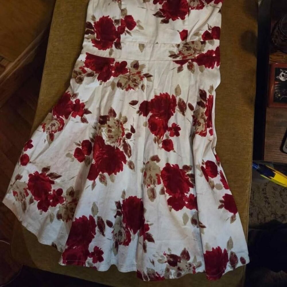 Papaya Women's multi Dress